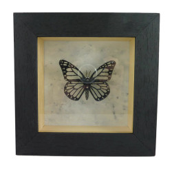 Faux papillon féerique transparent et noir à paillettes encadré