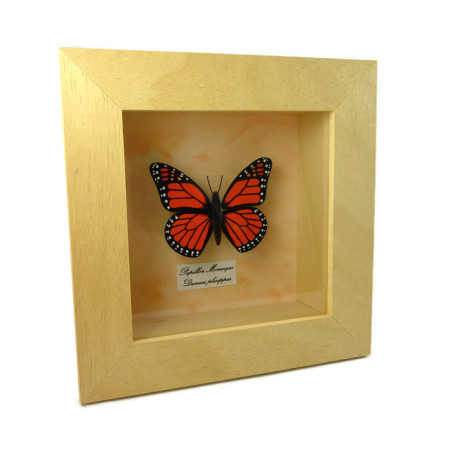 Orange black faux Monarch butterfly box frame