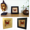 Orange black faux Monarch butterfly box frame