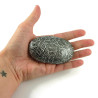 Painted pebble with silver doodles on black background