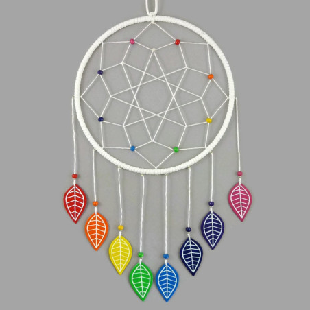 White dreamcatcher with rainbow leaves