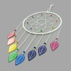 White dreamcatcher with rainbow leaves