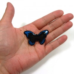 Black and navy blue "Eunica Alcmena Flora" butterfly magnet