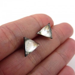 Puces d'oreilles en forme de petits triangles irisés