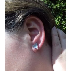 Puces d'oreilles en forme de petits triangles irisés