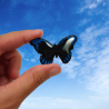 Magnet en forme de papillon "Eunica Alcmena Flora" noir et bleu foncé