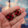 Red and blakc ladybug round ear studs