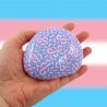 Painted pebble with transgender flag colors doodles