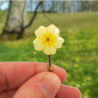 Pastel yellow primrose flower hair pin