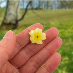 Pastel yellow primrose pin badge