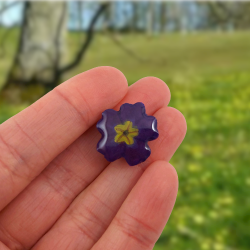Eco-friendly dark purple primrose flower pin badge