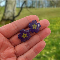 Dark purple primeroses flowers ear ships