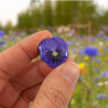 Eco-friendly purple pansy flower pin badge