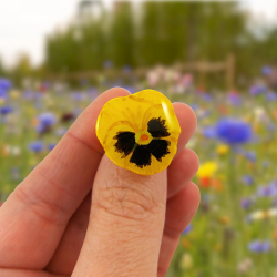Eco-friendly yellow pansy flower ring