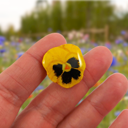 Eco-friendly yellow pansy flower pin badge