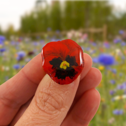 Eco-friendly red pansy flower ring