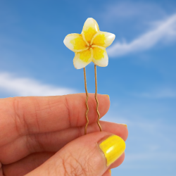 White and yellow Frangipani flower bun pin