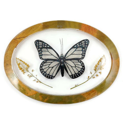 Oval frame with fake fairy butterfly and dried plants