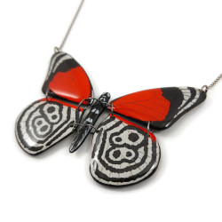 Collier papillon Diaethria clymena 88