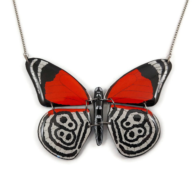 Collier papillon Diaethria clymena 88