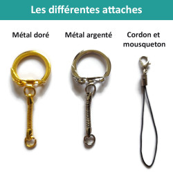 Les différentes attaches disponibles