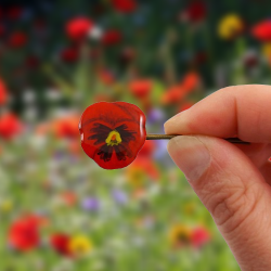 Épingle à cheveux pensée rouge