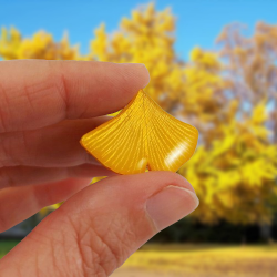 Pin's feuille de ginkgo jaune