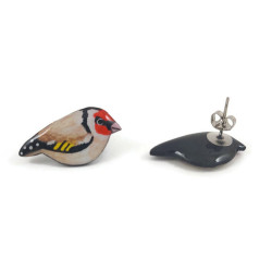 Elegant goldfinches ear ships