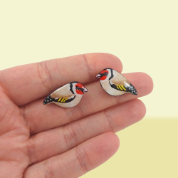 Elegant goldfinches ear ships