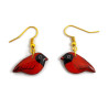 Boucles d'oreilles cardinaux rouges