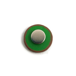 Magnet rondelle de kiwi