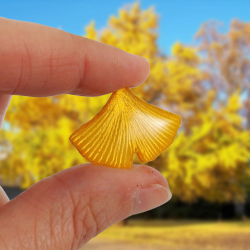 Magnet feuille de ginkgo jaune