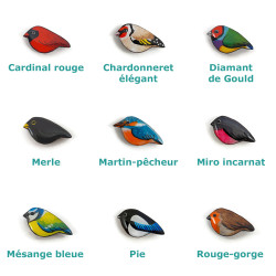 Types of birds available