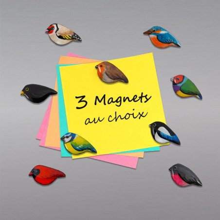 Lot de 3 magnets oiseaux