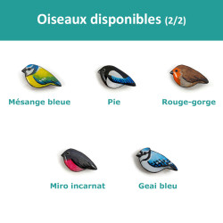 Tous les oiseaux disponibles (2/2)