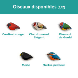 Tous les oiseaux disponibles (1/2)