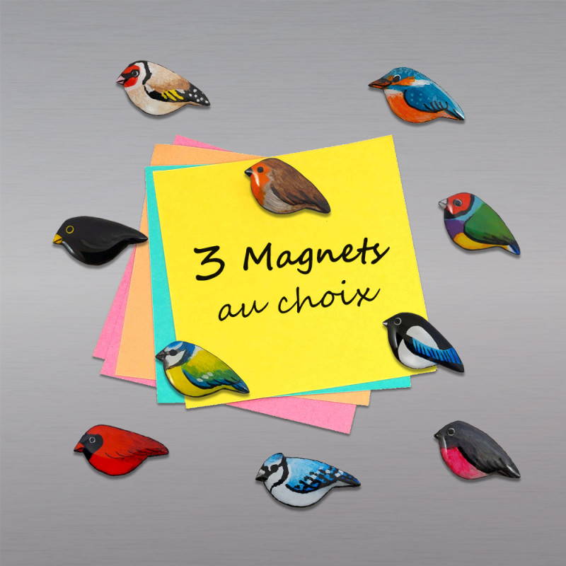 Lot de 3 magnets oiseaux