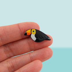 Toucan Magnet