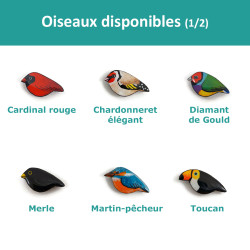 Tous les oiseaux disponibles (1/2)