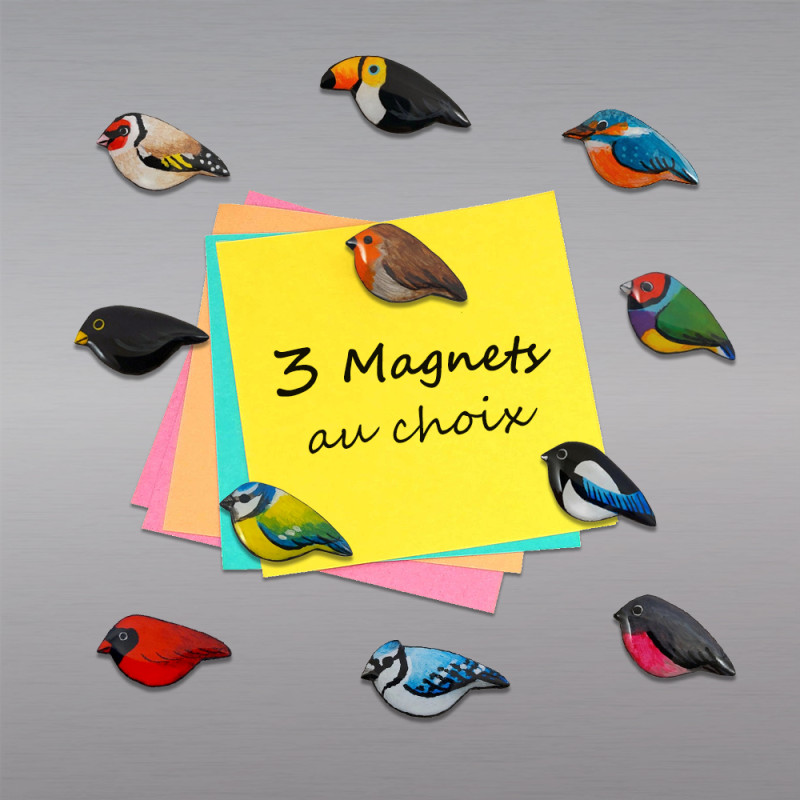 Lot de 3 magnets oiseaux