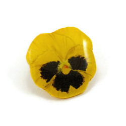 Yellow pansy ear chip (sold individually)