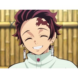 Tanjirō Kamado dans le manga Demon Slayer