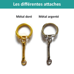 Les différentes attaches disponibles