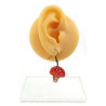 Boucles d'oreilles amanite tue-mouche