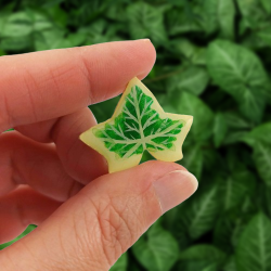 Yellow and green variegated ivy leaf brooch