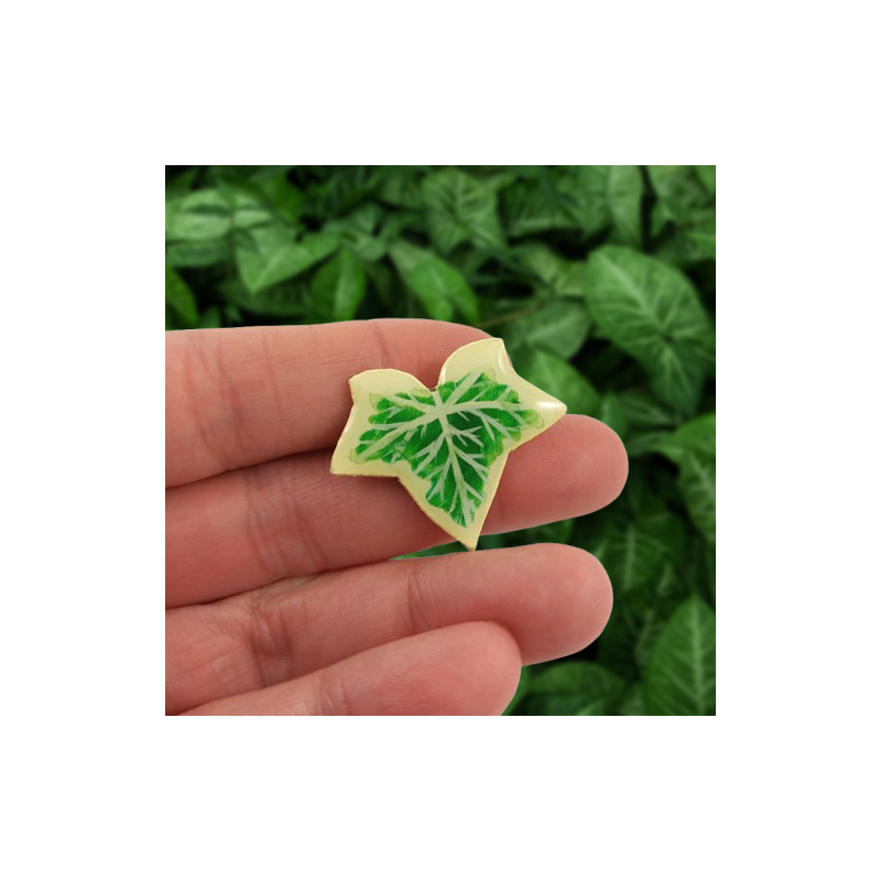 Magnet en forme de feuille de lierre panaché jaune et vert