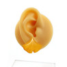 Yellow ginkgo leaf ear stud (Sold individually)