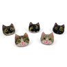 Customizable cats ear studs
