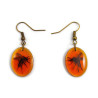 Boucles d'oreilles moustiques dans l'ambre