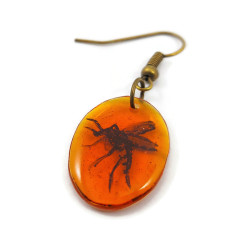 Boucle d'oreille moustique dans l'ambre (vendue à l'unité)